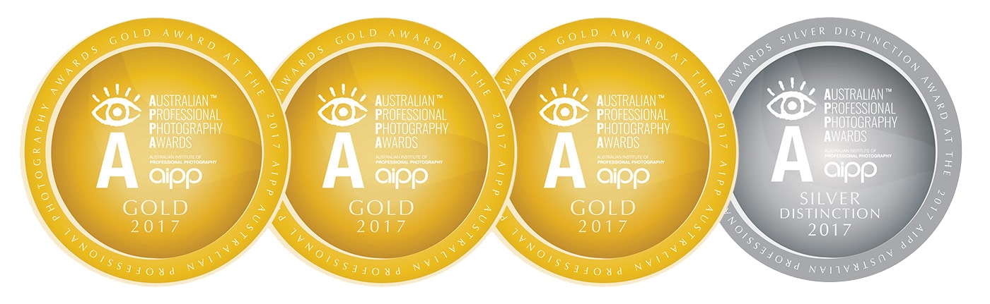 2017 AIPP APPA 2017 AIPP APPA
